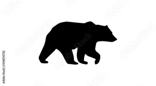 Fototapeta Walking Bear Silhouette White Background
