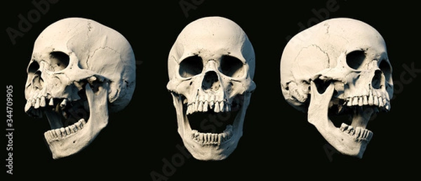 Fototapeta Sets Human Skull turned from different sides on rich colors. White isolated. The concept of death, horror. Symbol of creepy halloween. 3d rendering illustration.