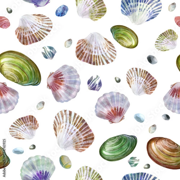 Fototapeta Watercolor illustration. Pattern of sea shells and sea stones on a white background. Summer theme, beach and relaxation.