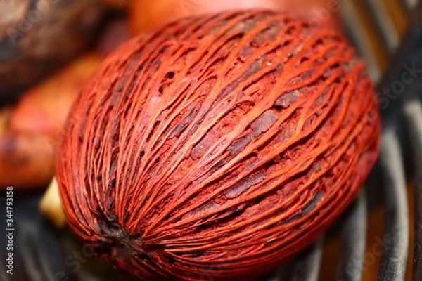 Obraz ball of threads