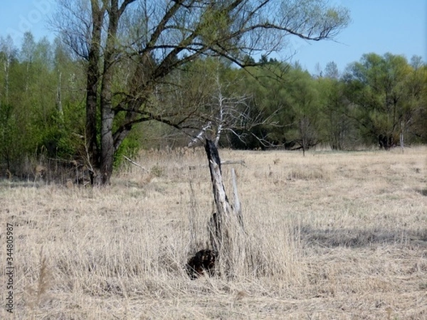 Fototapeta KODAK Digital Still Camera