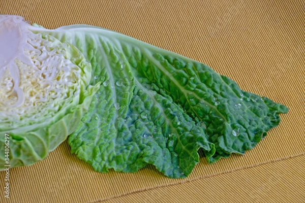 Obraz cabbage angel handled his wings