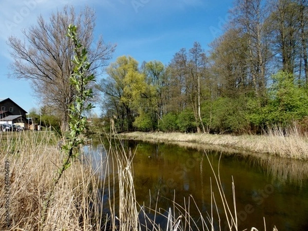 Obraz KODAK Digital Still Camera