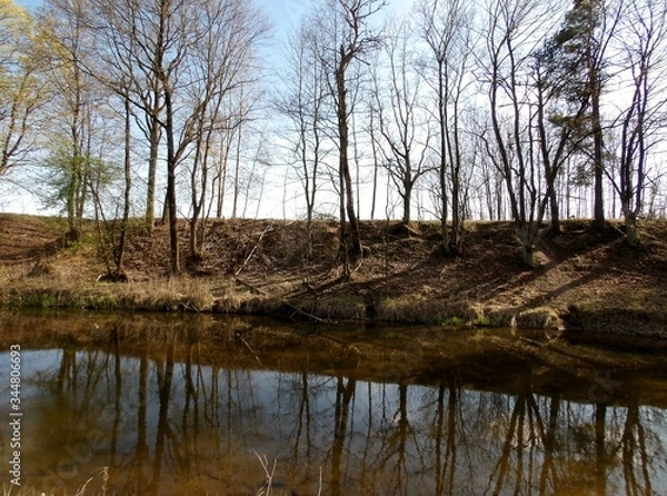 Obraz KODAK Digital Still Camera