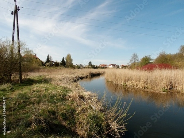Obraz KODAK Digital Still Camera
