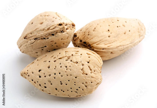 Obraz Almonds