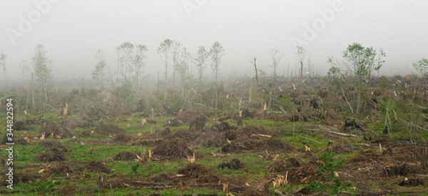 Fototapeta Devastated landscape by an environmental catastrophhe
