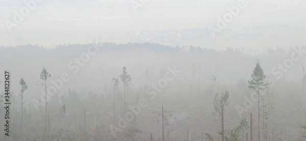 Fototapeta Devastated landscape by an environmental catastrophhe