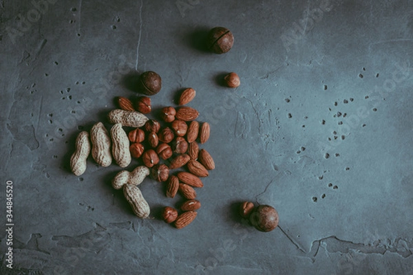 Fototapeta A close-up of a group of various nuts  such as peeled dried almond and hazelnuts  and unpeeled peanuts and cracked macadamia on a concrete blue textured background. A culinary concept. Copy space