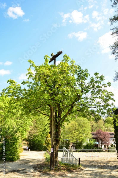 Obraz road in park, Germany