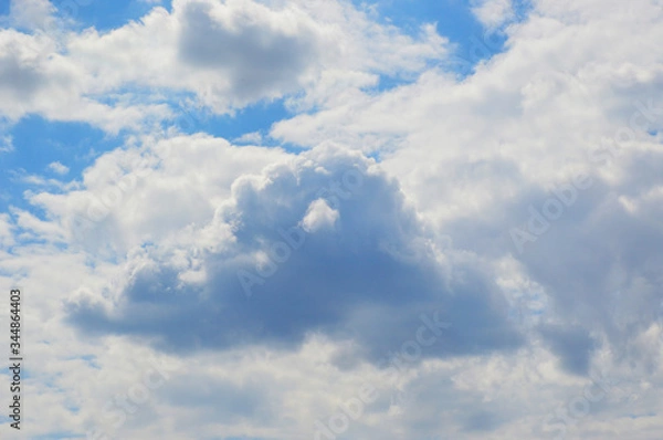 Fototapeta white, fluffy clouds on a background of blue sky. beauty in nature