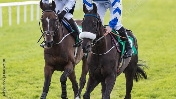 Fototapeta Close up on two race horses on the track