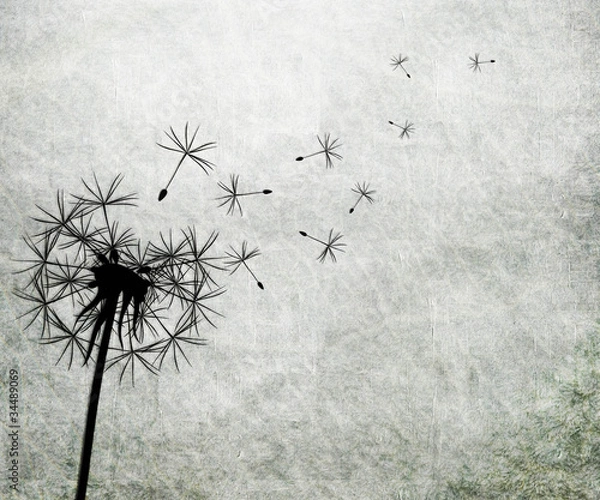 Obraz dandelion vintage