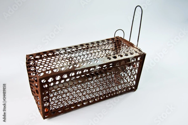 Obraz mousetrap cage