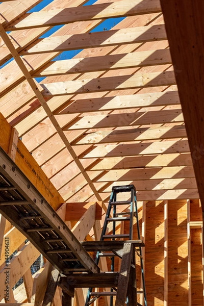 Obraz Raising the roof