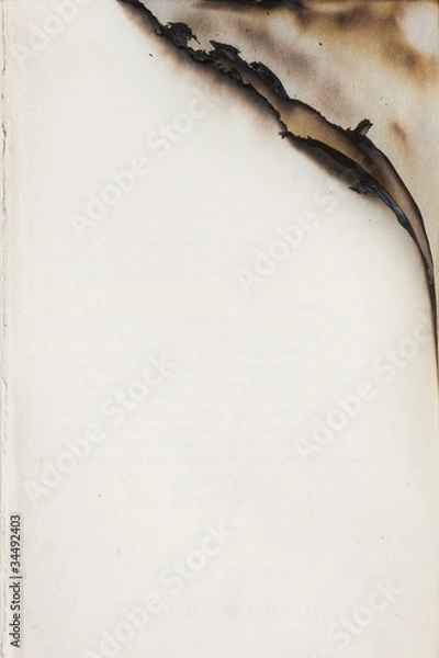 Obraz Empty paper with burnt edge