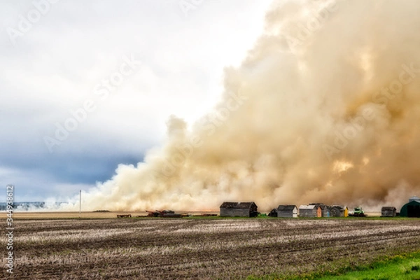 Fototapeta Billowing clouds of smoke from a fire burning a farm field with old sheds nearby in a summer landscape