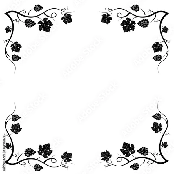 Fototapeta Vector decorative frame of vine on a white background. Black-white ornate silhouette. An element of your design.