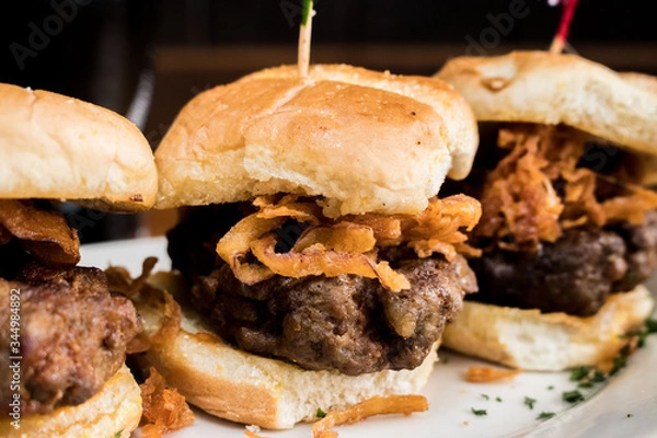 Obraz hamburger on a plate