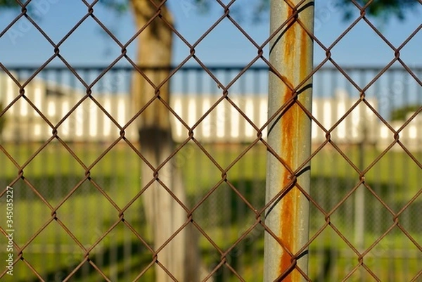 Obraz Fence