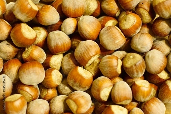 Obraz Hasel Nuts