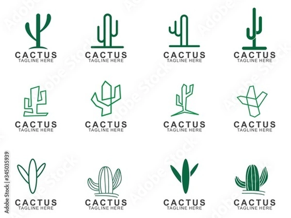 Obraz Set of Cactus logo with creative concept. Icon cactus vector illustration