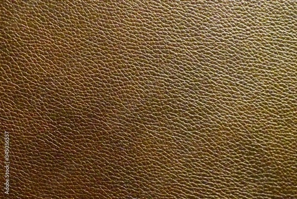 Obraz Leather
