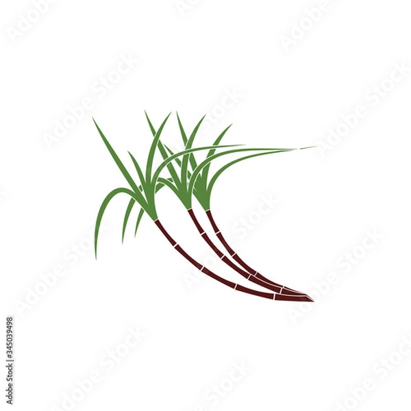 Fototapeta Sugar cane Logo Template vector symbol