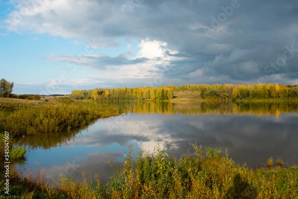 Obraz lake in the forest