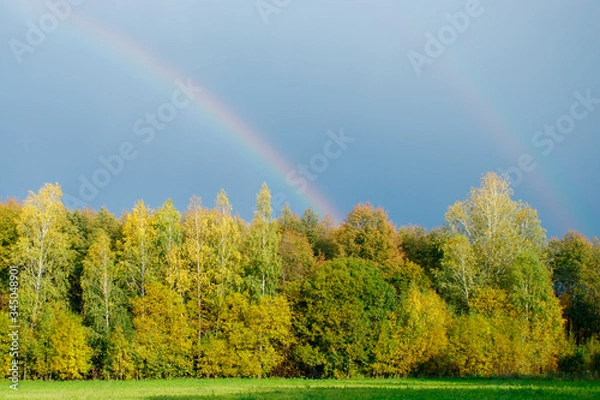 Obraz rainbow over the field