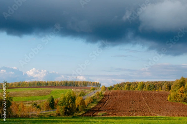 Obraz vineyard in autumn