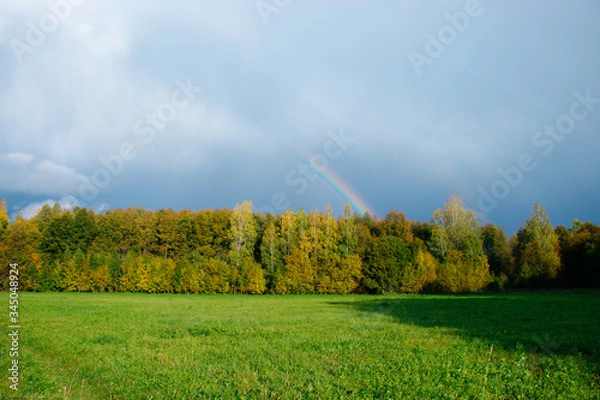 Obraz rainbow over green field