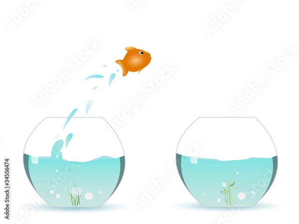 Obraz Goldfish jumping