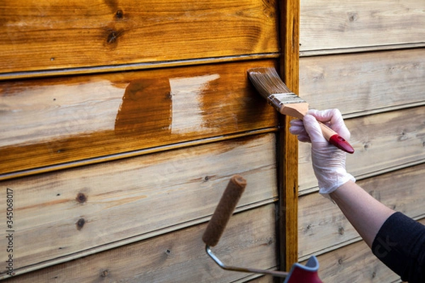 Obraz Peindre du bois