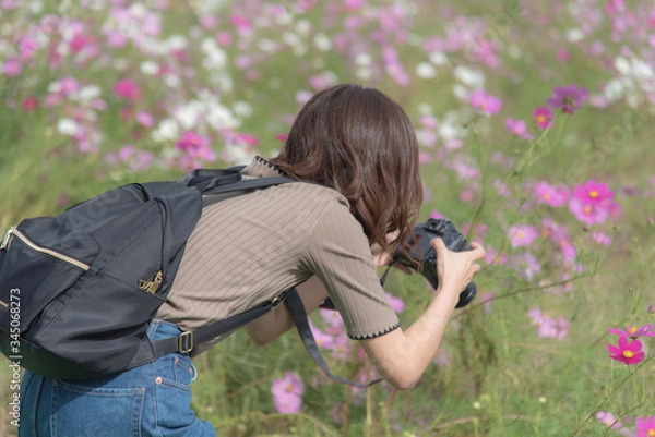 Obraz カメラ好きの女性 コスモス畑にて