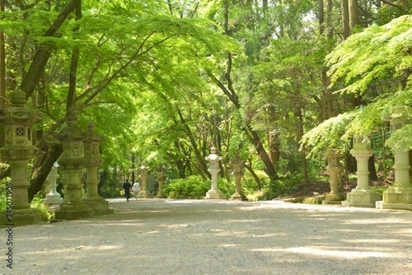 Fototapeta 千葉県香取神宮の境内