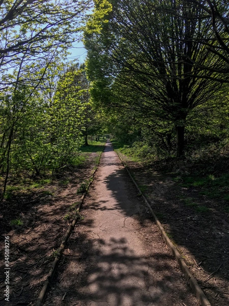 Fototapeta path in the park
