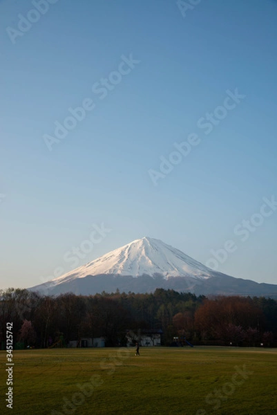 Fototapeta 冬の富士山