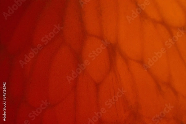 Obraz orange abstract background