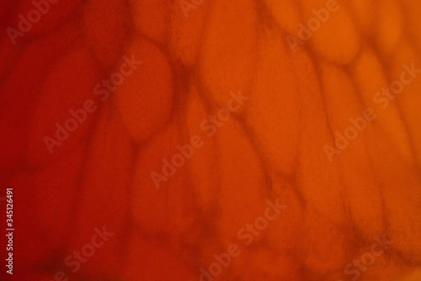Obraz abstract orange background