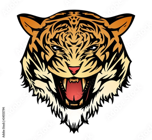 Obraz Tiger aggressive coloured (vector)