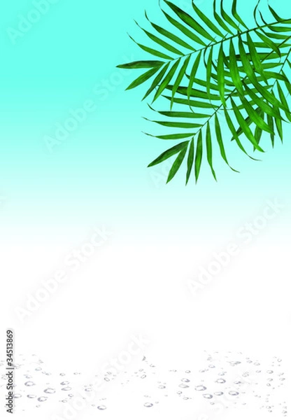 Obraz красивый фон