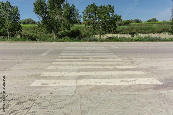 Obraz road in the park