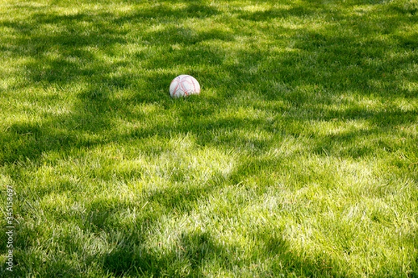 Obraz soccer ball on grass