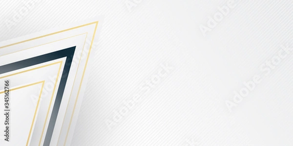 Fototapeta Grey silver abstract luxury background with bronze outlines. Modern abstract light silver background vector. Elegant concept design with golden line.