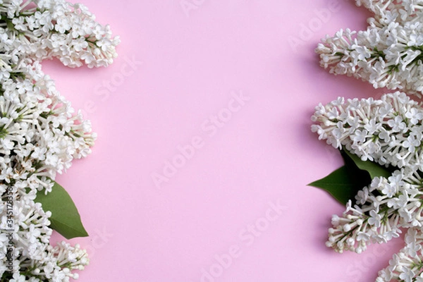 Fototapeta Natural white lilac flower frame with dusty pink color background with copy space for text 