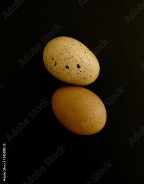 Obraz Eggs:  Friends