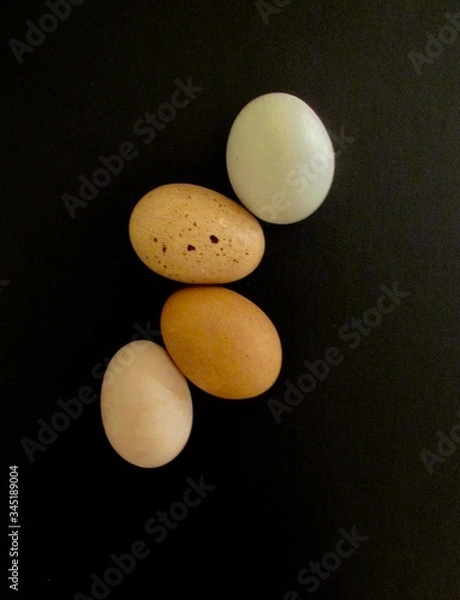 Fototapeta Eggs:  So pretty.