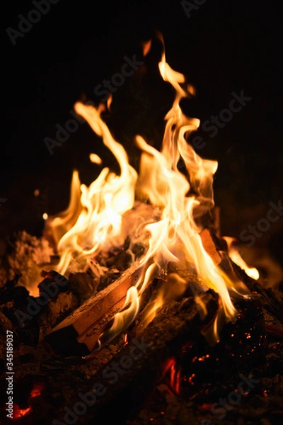 Obraz fire in the fireplace