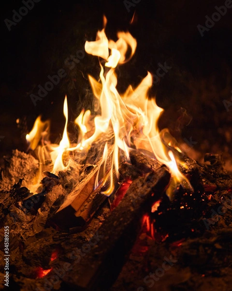 Obraz fire in the fireplace